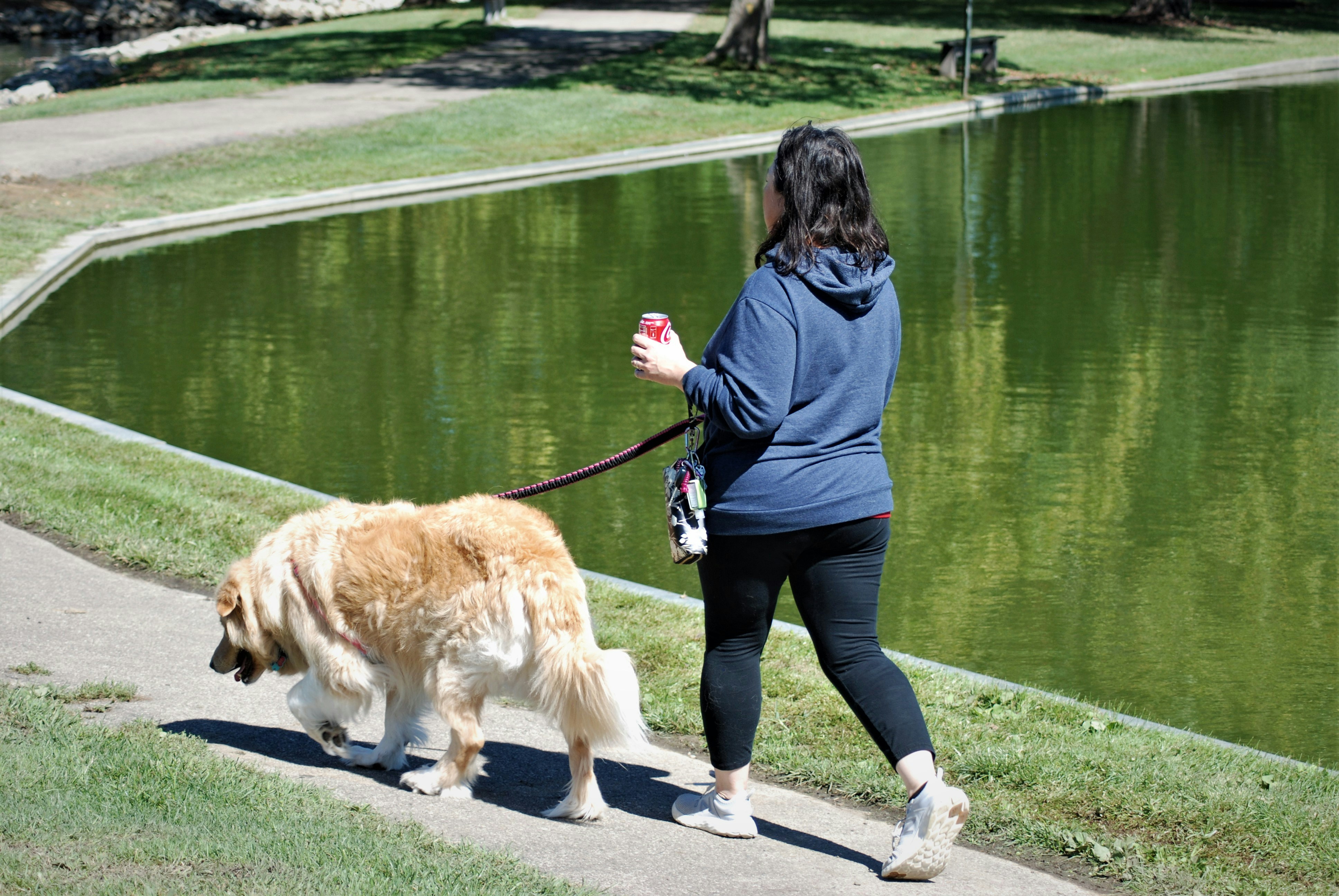Dog Walking